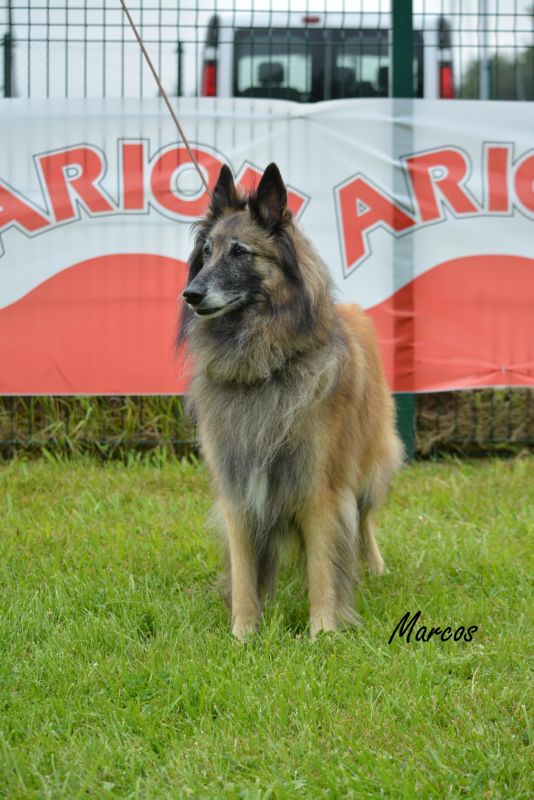 23-SS CHE JARCHA DEL ESPEREDO